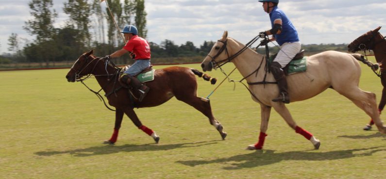 polo in buenos aires