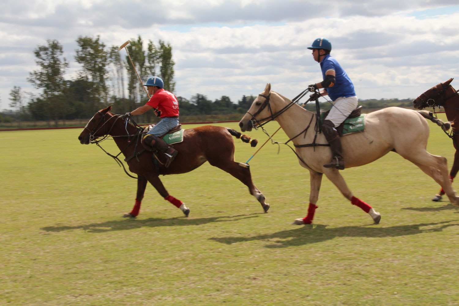 polo in buenos aires