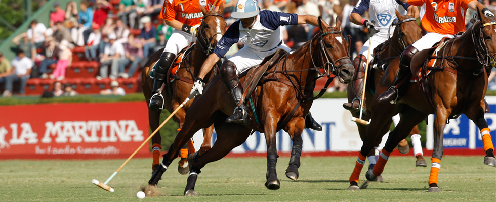 Polo Basics Characteristics