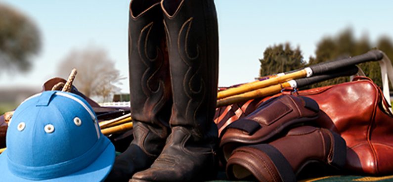 polo player equipment