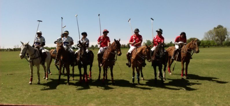 Polo Match