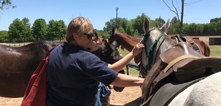 Visitors interacting with horses