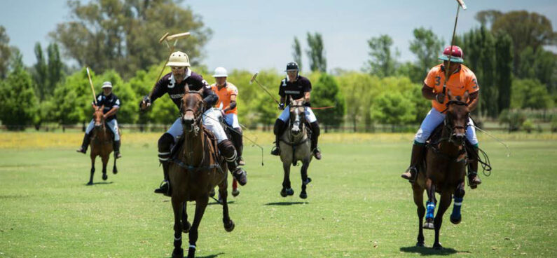 polo match