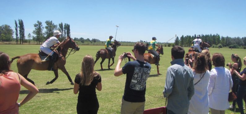 Tourists watching a professional polo match