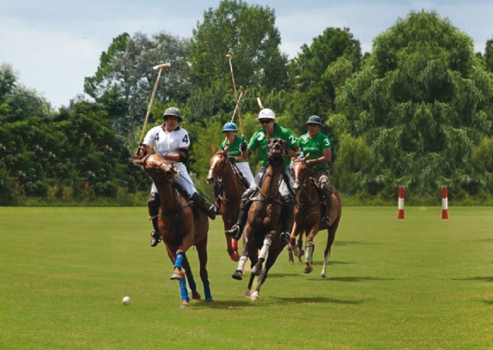 polo rules