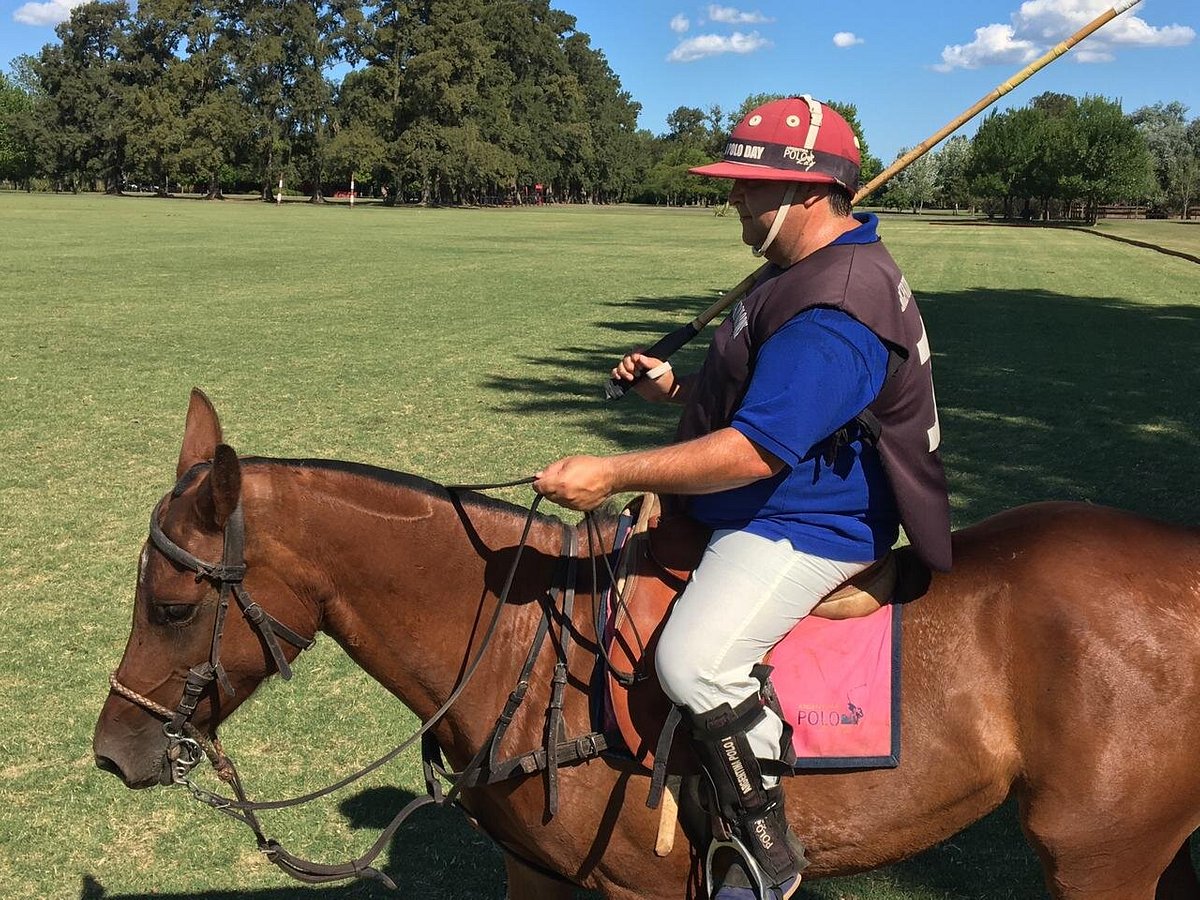 polos player riding