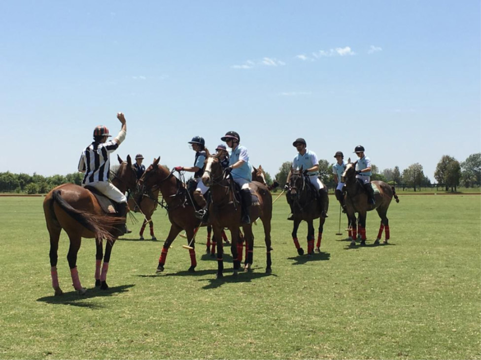 7 things to know about Polo