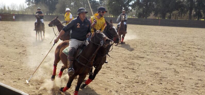 How is arena polo different from traditional polo?