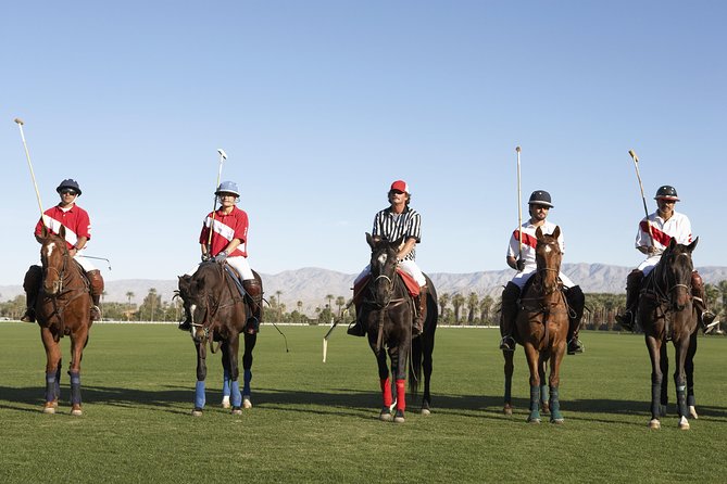 What is handicap in polo?