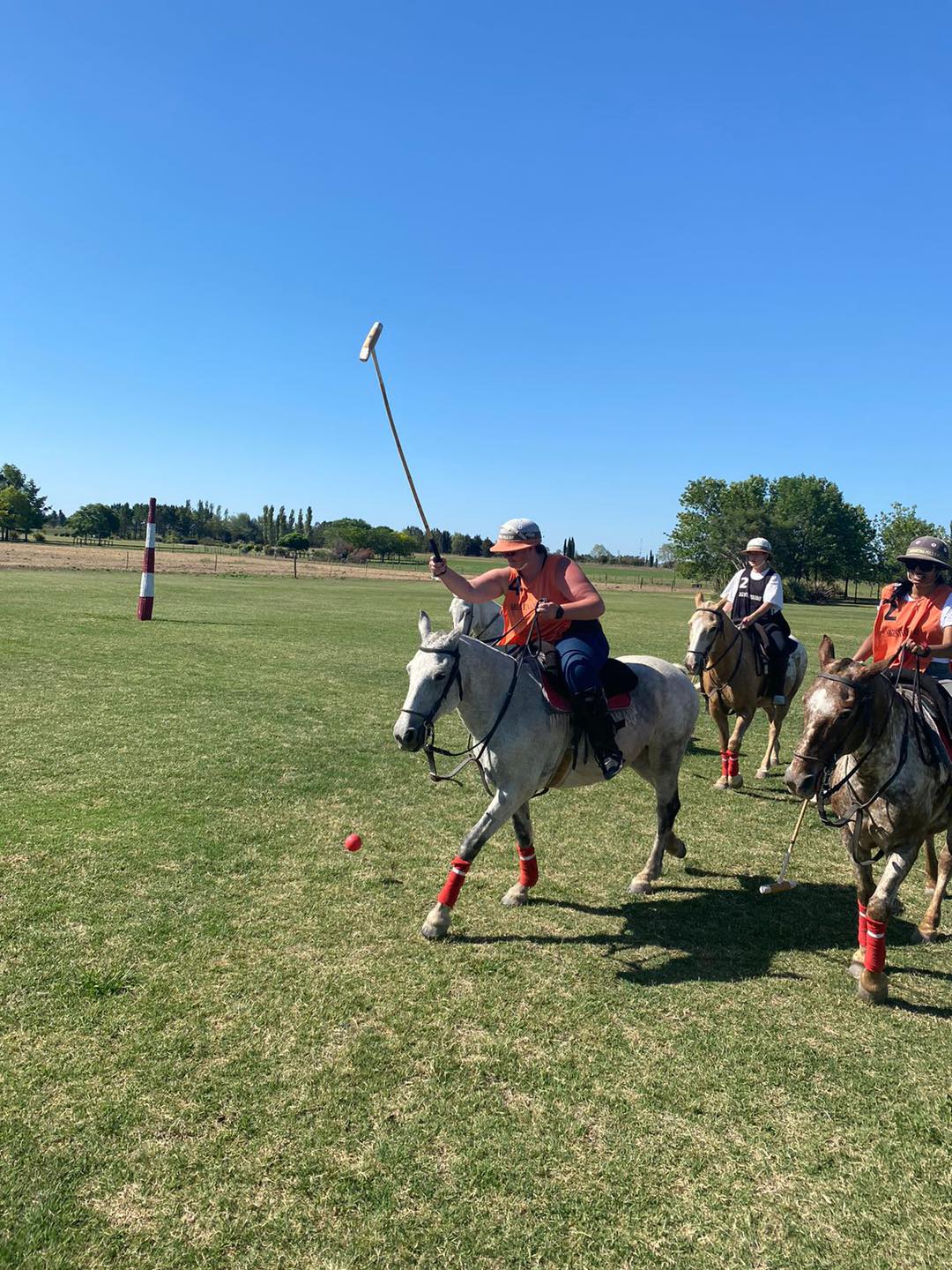 Tips for your first Polo Experience